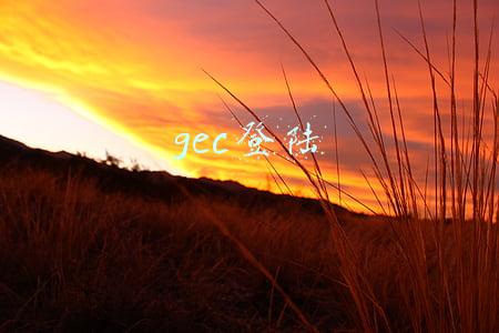 gec登陆平台GEC登陆(GEC基本操作都在这里-2019-03-16)