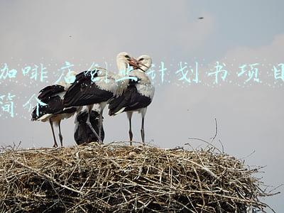 咖啡店创业计划书项目简介