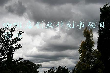 咖啡店创业计划书项目简介
