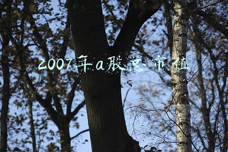 2007年中国a股市场(历史上5轮通胀下，股市是如何走的？)