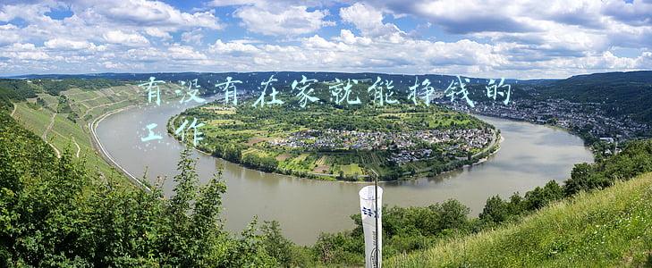 在家就能挣钱的项目(农民不出去打工，在家能干什么？3个赚钱种植项目分享)