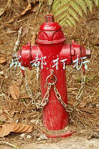 成都打折机票(“五一”后机票跳水，从成都直飞这些地方低至230！6月端午小长假也有特价)