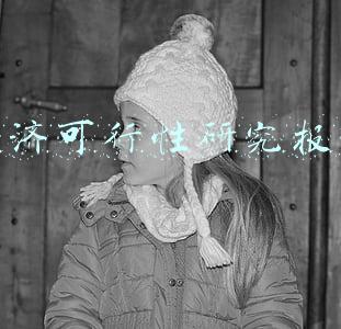经济可行性研究报告