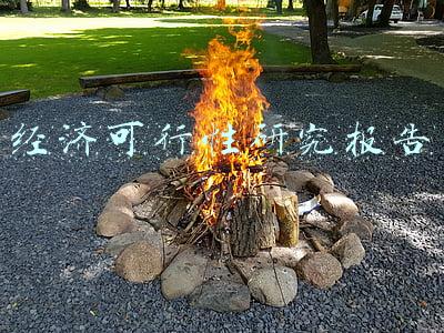 经济可行性研究报告
