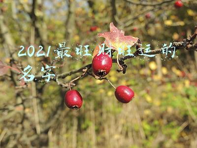 2021最旺财旺运的名字