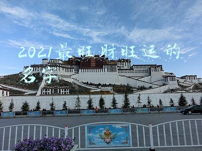 2021最旺财旺运的名字