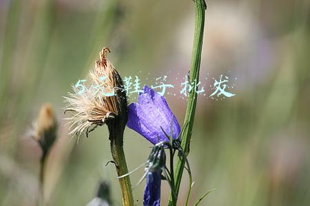5元鞋子批发