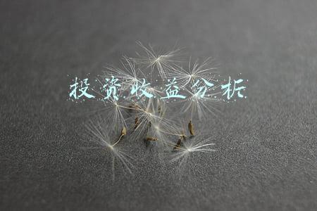 投资收益分析