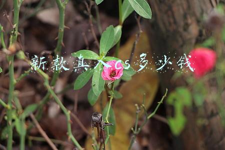 低价转让二手真人cs装备(真人CS装备的设计场景及销售价格)