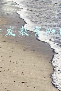 全脑开发教育加盟哪家好