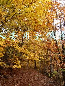 男人专用头像图片 风景图片(风景微信头像来了，整整25张)