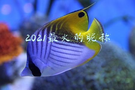 2021最火的昵称
