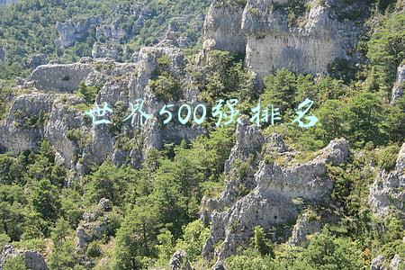 世界500强排名