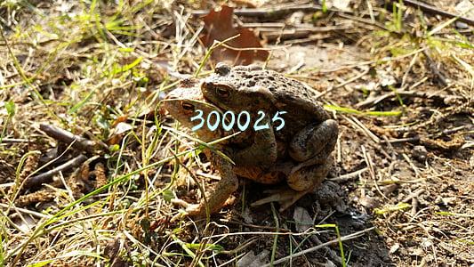 300025