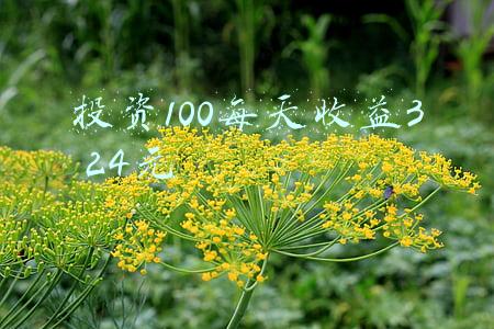 每天理财收益100元(存款有100万，如何理财，每天能有500块钱稳健收益？)