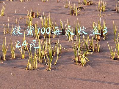 每月存100元(现在30岁，每天存100元，到40岁能退休吗？)