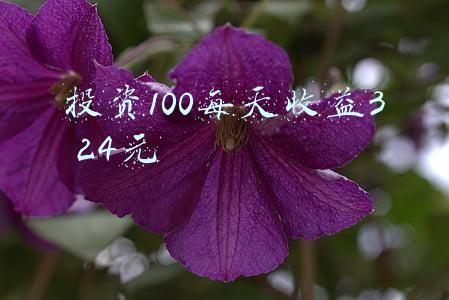 黄金投资收益率(长期回报率超过485% 看到这四大理由你还会空黄金吗？)