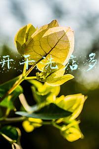 投资干洗店需要多少成本（开个干洗店大概多少钱）
