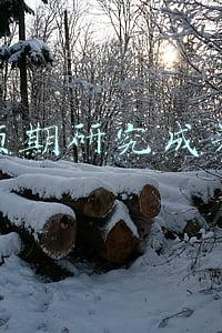 预期研究成果怎么写(国家自然科学基金申请书撰写技巧)