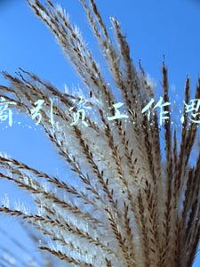 招商引资措施(三明市七项措施力促招商引资“开门红”)