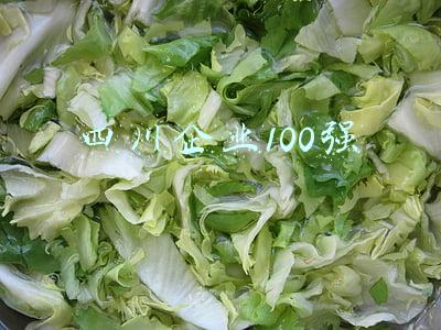 四川企业100强