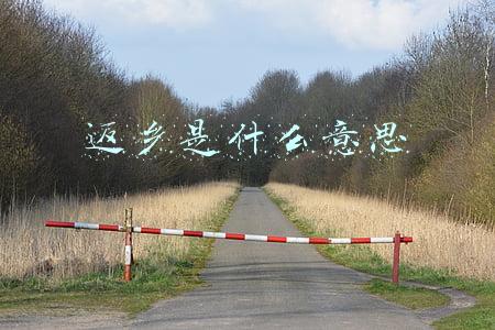 返箱是什么意思(国际集装箱运输市场火爆 运价为何疯涨？)