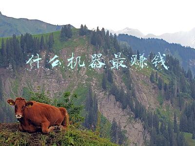自动赚钱机器(⑧刘克亚之打造你的赚钱机器1.0版：零成本倍增利润（二）)