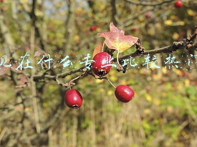现在什么专业比较热门