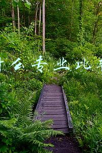 现在什么专业比较热门