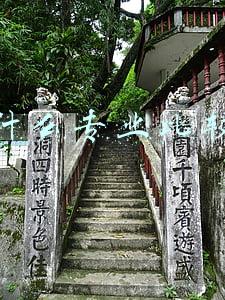 现在什么专业比较热门
