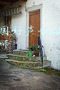 中国好声音2021导师那英(那英中途退出《好声音2021》，且替代者已确定？如若离开乃是双赢)