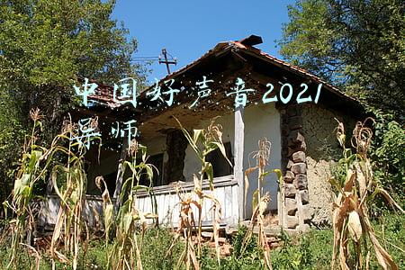 中国好声音2021 导师黄霄云(中国好声音最新采访：黄霄云原以为贺三会赢，但汪峰却选了壮煜亮)