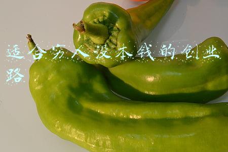 适合穷人没本钱的创业路 适合穷人没本钱的创业路