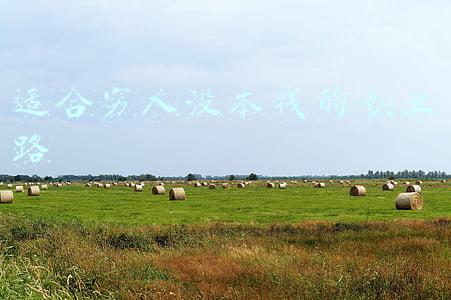 适合穷人没本钱的创业路