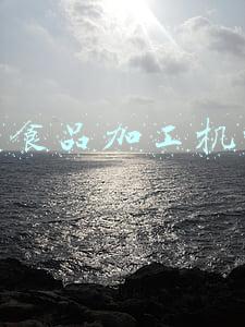 小食品加工机械