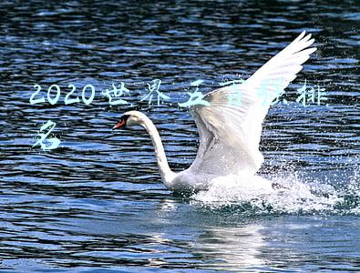 2020世界五百强排名杜邦排位(世界500强出炉：宣伟居行业第一，立邦/PPG/巴斯夫上榜)