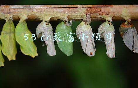 58好项目网(解决群众“急难愁盼”交通运输部推出58个实事项目)