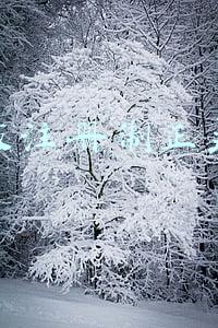 创业板注册制正式落地是利好吗(创业板注册制落地一周年，释放了哪些改革红利？)