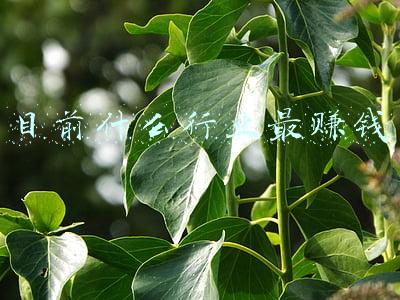 目前什么行业最赚钱