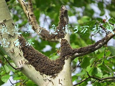 我是黑户急需3万块钱怎么办