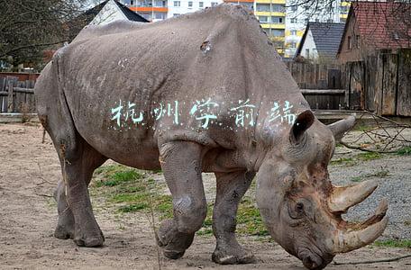杭州前端培训班(2021杭州十大画室排名，杭州画室哪家好？)