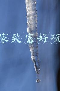 发家致富好项目