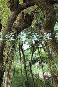 连锁经营管理论文范文(游走在中心和边缘之间：阿卜杜勒－拉扎克·古尔纳的流散)