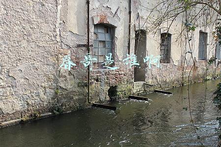 春哥长的像谁(李宇春做梦都想删的照片，难怪叫“春哥”，网友：承包一年的笑点)