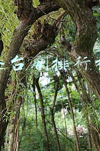 港台剧排行榜