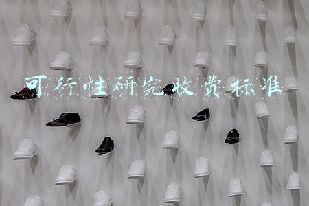 可行性研究收费标准