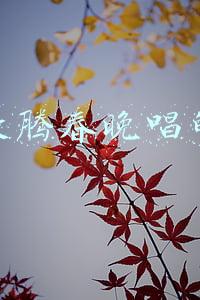 萧敬腾2015上春晚了吗(萧敬腾2015北京台春晚自称“小男人” 献歌“大)