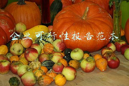 企业可行性报告范本