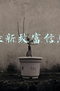 最新致富信息