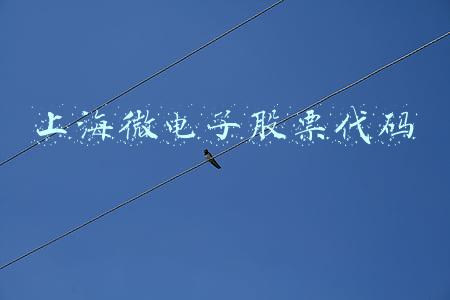 上海微电子股票代码